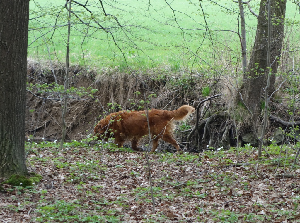 DSC06266a