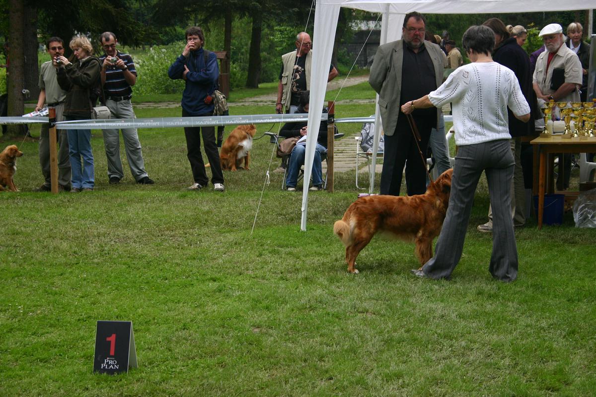 img_7901-1d
