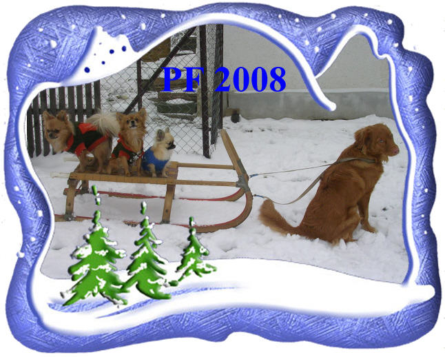 PF 2008.jpg