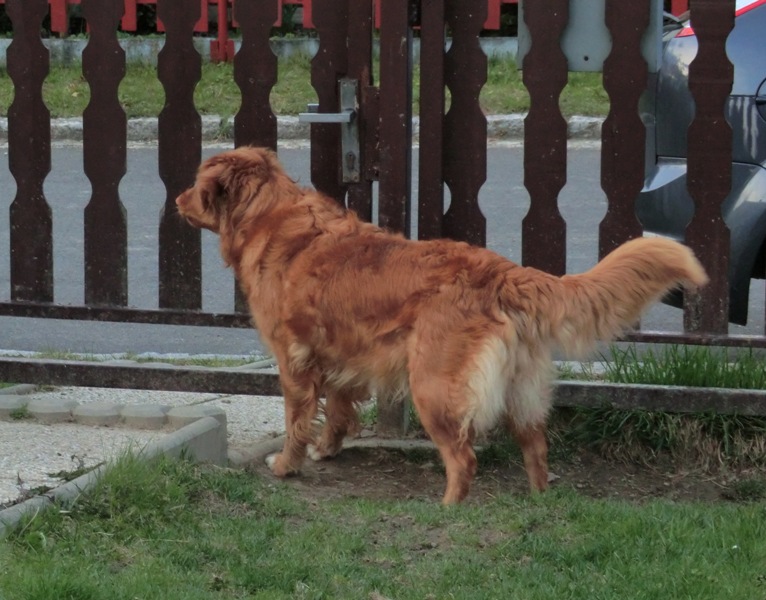 CIMG0054a