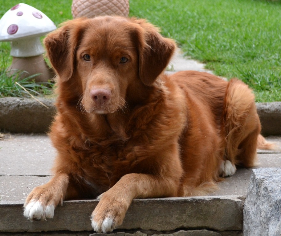 DSC_0858vvee