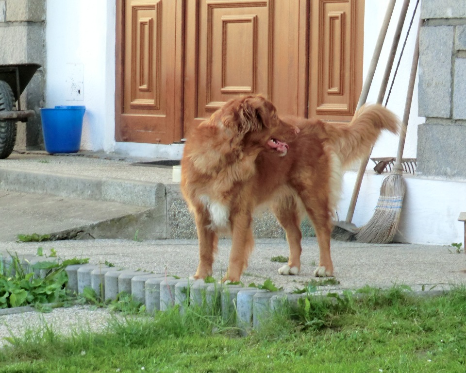 CIMG0386a
