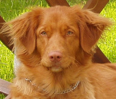 P5081891z.jpg